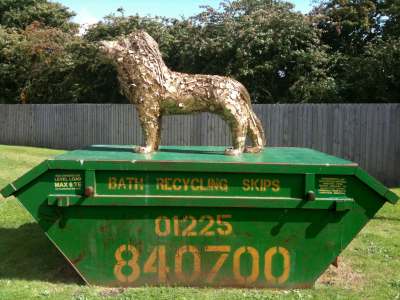Bath Recycling Skips Lion